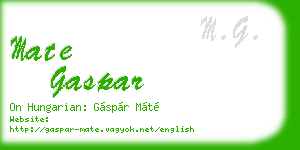 mate gaspar business card
