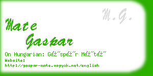 mate gaspar business card